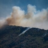 Veliki šumski požari na jugoistoku Srbije, gori stotine hektara, sumnja se da su podmetnuti 6