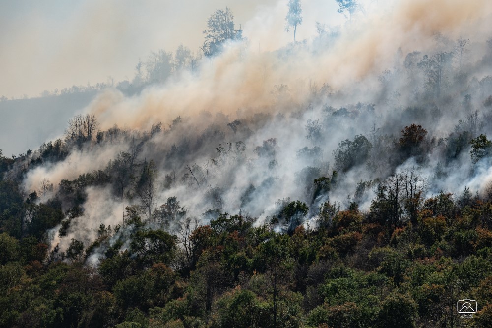 Veliki šumski požari na jugoistoku Srbije, gori stotine hektara, sumnja se da su podmetnuti 2 požar, šumski požar u Srbiji, požar na Vidliču