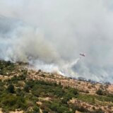 Veliki šumski požari na jugoistoku Srbije, gori oko 2.000 hektara 6