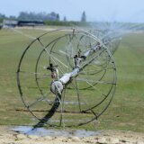 Za nabavku opreme i sistema za navodnjavanje u Vojvodini 450 miliona dinara 12