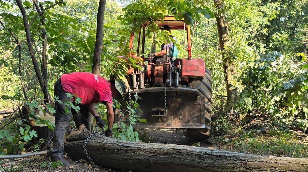 Beograd ostaje - Sudbina Košutnjaka zavisi od građana, Kompanija SEBRE -Posvećeni smo zaštiti javnog interesa 10
