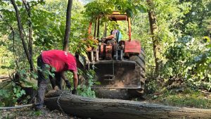 Odlukom Vlade Srbije od 5. decembra omogućena je izrada Prostornog plana područja posebne namene za deo Košutnjaka, a finansijer izrade plana je kompanija Avala Studios Beograd, deo češke investicione kompanije SEBRE. Odluku da privatnom investitoru dopusti da finansira izradu plana prati zabrinutost građana, jer mu to dozvoljava da mimo lokalnih procedura menja važeća urbanistička pravila.