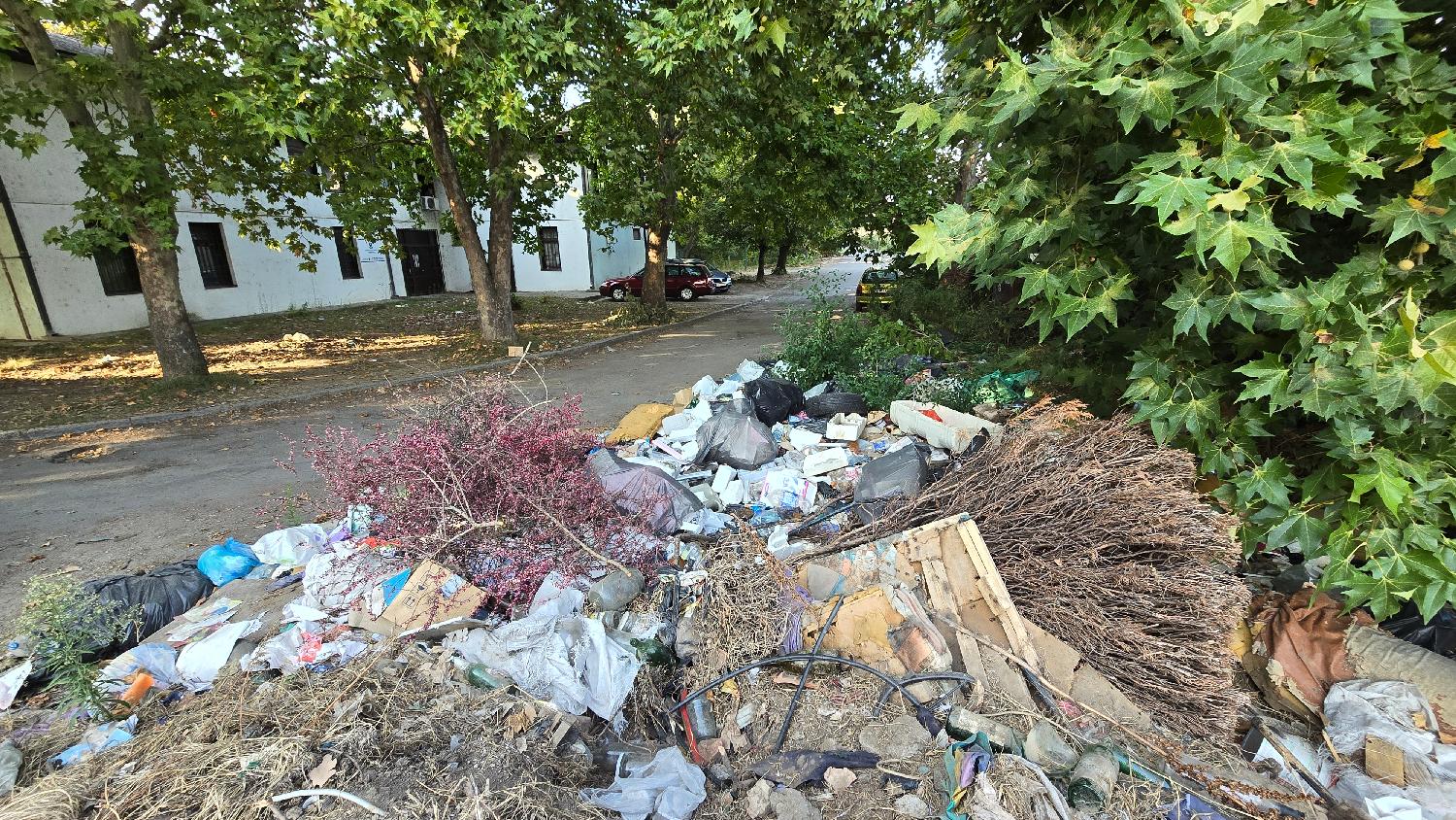 (FOTO) Flaše, automobilske gume i uginule životinje: Pored Zdravstvene stanice "Leštane i Vinča" nalazi se divlja deponija 2