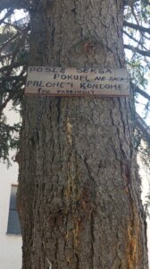 Nek nas sete ove postapokaliptične slike... 3