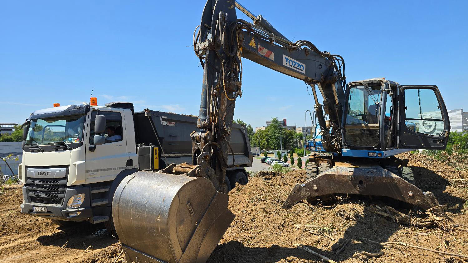Posle Konjarnika, seča šume i na Bežaniji: Stabla stara više od 80 godina, meštani se bune 2 Posle Konjarnika, seča šume i na Bežaniji: Stabla stara više od 80 godina, meštani se bune 2