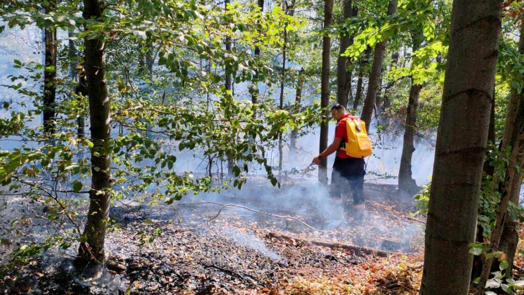 Dok u Srbiji bukte požari, šta radi Ruski humanitarni centar u Nišu? 2