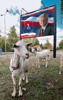 Nebojša Raus Kragujevac 06 "Rat kod nas nikako da prestane, da se jednom, bre, završi": Ljudi, sećanja - fotograf Nebojša Radosavljević Raus 6