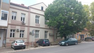 Nišlijka pokrenula onlajn peticiju da bi zaštitila topolu staru 350 godina 18 Nišlijka pokrenula onlajn peticiju da bi zaštitila topolu staru 350 godina 12