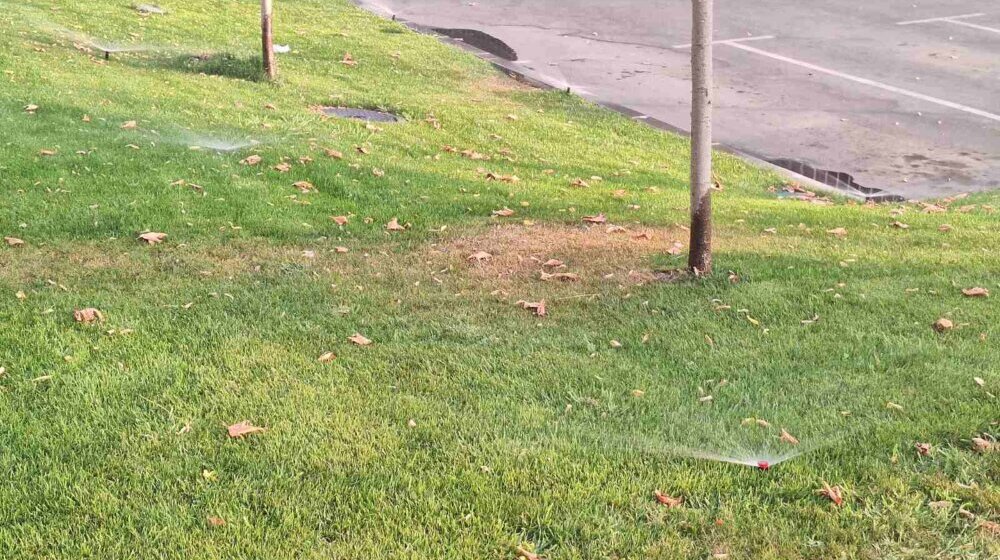 Za zalivanje travnjaka ima vode a za sela i poljoprivredu nema 1