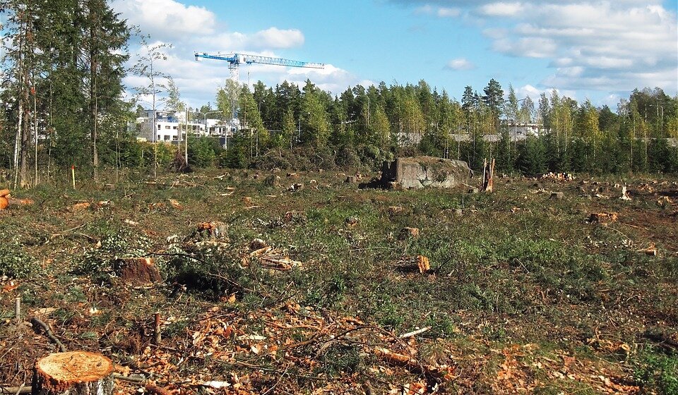 Gradovi već prenaseljeni: Koliko će širenje urbanizacije uticati na divlje vrste do 2070. godine? 1