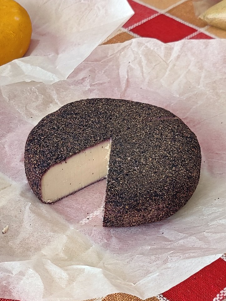 Danijela Ratkov je profesorka hemije iz Starčeva koja pravi sir od pasulja: Priča posle koje ćete na hranu gledati drugačije 3