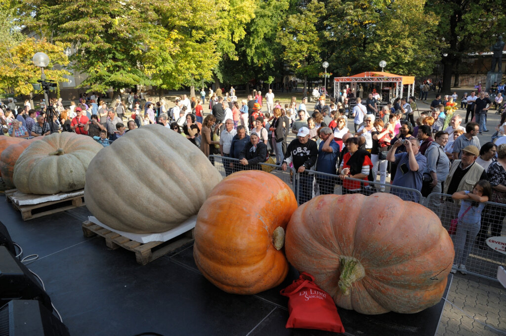 Građanke i građani Kikinde protiv kiča i šunda: Peticija protiv održavanja koncerta Jelene Karleuše tokom Dana ludaje 2