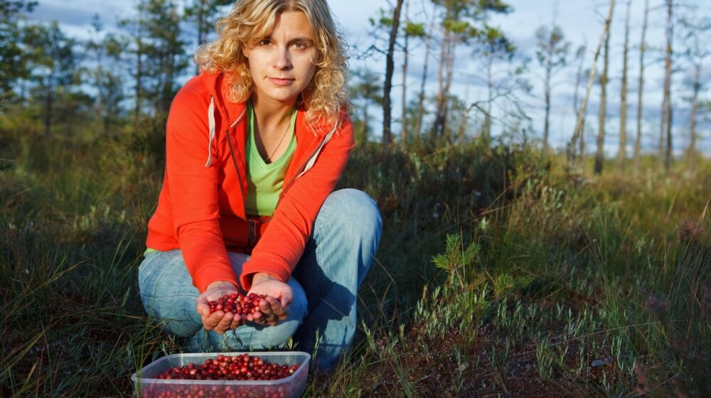 Jeftino voće zaustavlja zaborav i štiti srce: Dostupno je na svakom koraku 1