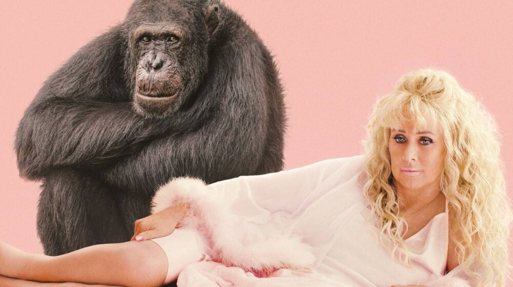 plakat dokumentarne serije "Chimp Crazy"