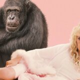 plakat dokumentarne serije "Chimp Crazy"