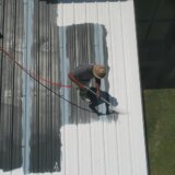 Beli krovovi najbolji za ublažavanje vrućina u gradovima, otkrivaju naučnici 8