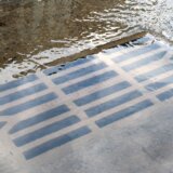 Ekološki ustanak: U beogradskom naselju Kotež danima se izliva fekalna voda, nadležni ne reaguju 3