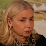 Slavica Radovanović tražila zaštitu od Dačića zbog pretnji na Instagramu 5