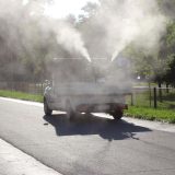 Gradska čistoća u petak nastavlja akciju suzbijanja komaraca u Beograda 4