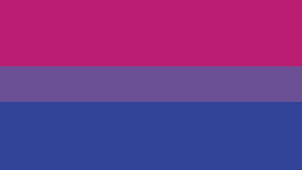 Biseksualnost: Biti bi u Srbiji 5 The pink, blue and purple bisexual flag