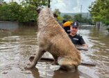 Rescue and evacuation efforts in eastern Romania after being hit by deadly floods (FOTO, VIDEO) Ciklon Boris hara Srednjom Evropom: Prva žrtva u Poljskoj, u Češkoj se traga za četiri osobe 5
