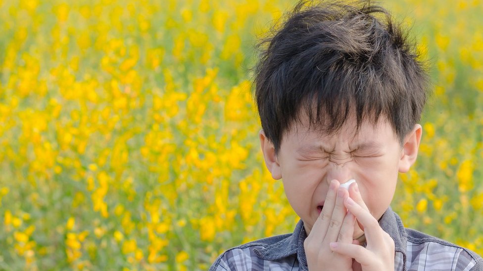 Priča o alergijama: Zašto cela Srbija kija, kašljuca i trlja oči 2 Smeđokosi dečak kija u maramicu u polju žutog cveća