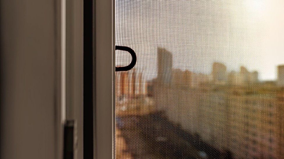 Šta je oropuš virus i ima li leka protiv njega 6 Mrežice na prozorima mogu da spreče ulazak insekata