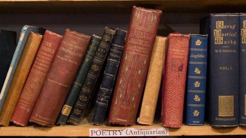 LGBT i Srbija: Leposava Mijušković, zaboravljena književnica koja je pisala o ljubavi dve žene 1 knjige