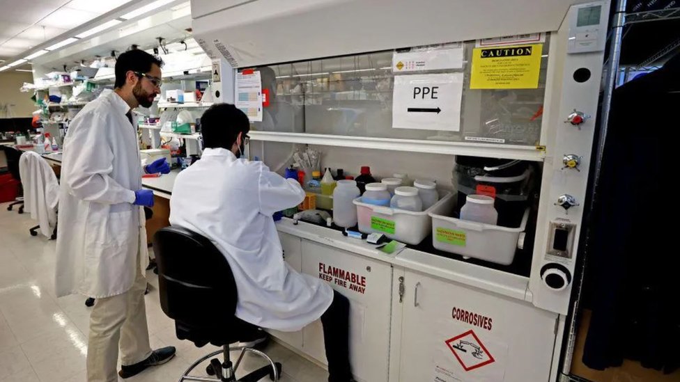 Amerika: Pacijent zaražen ptičjim gripom bez kontakta sa životinjama 1 Naučnici u laboratoriji