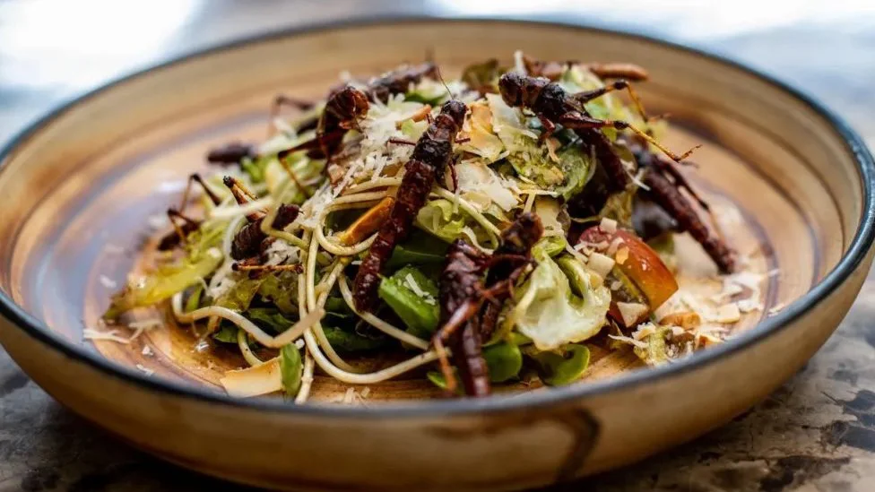 Da li biste jeli insekte da su ukusniji 1 Salata sa cvrčcima u tanjiru