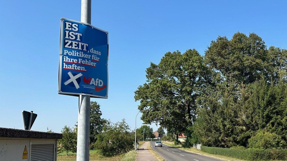 Uspon krajnje desnice na istoku Nemačke još nije završen 2 Plakat AfD-a na banderi