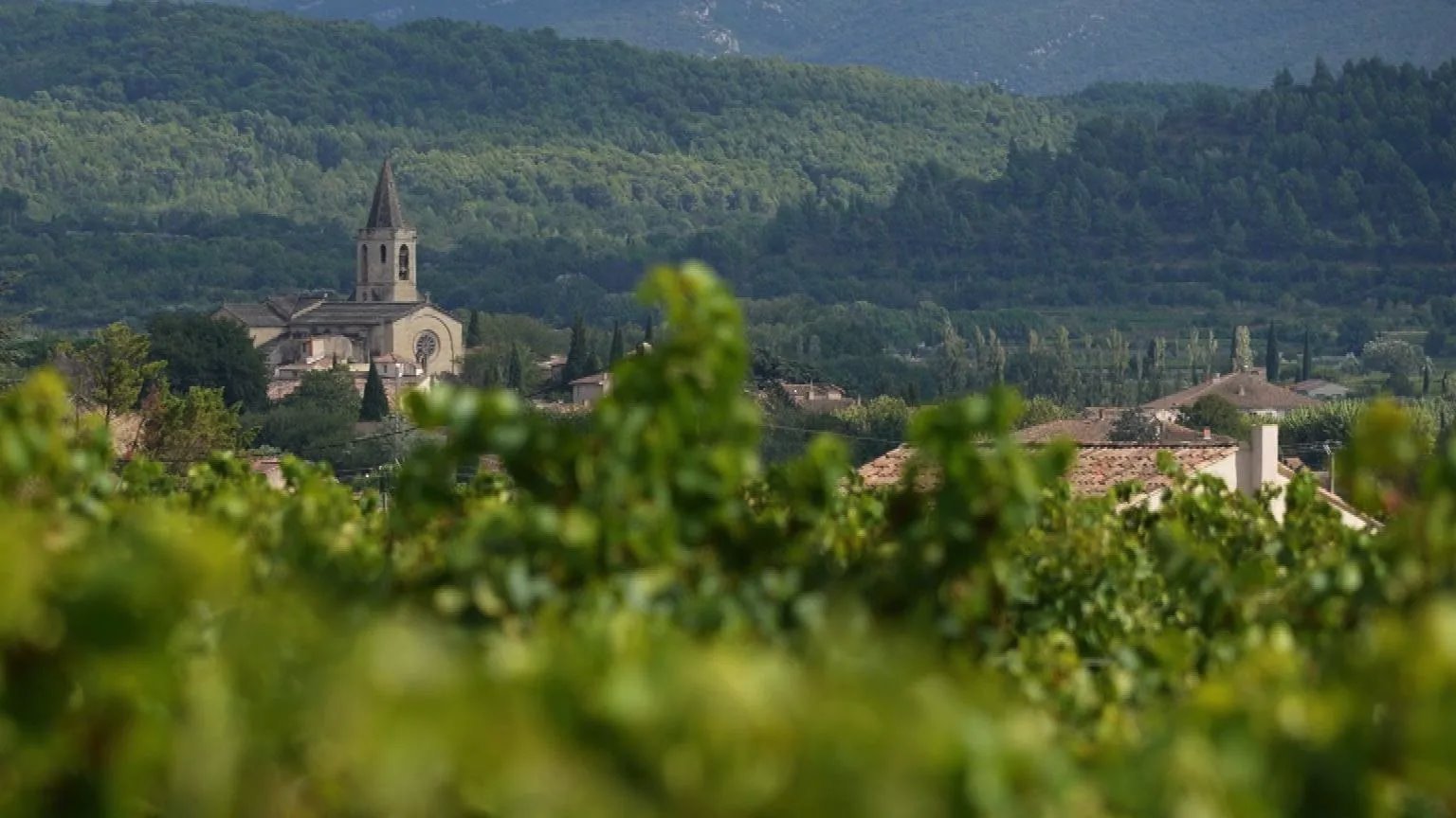 Francuska: Žene dirnute prkosnom Žizel Peliko na suđenju za masovno silovanje 5 Mnogi optuženi potiču iz iste oblasti kao i porodica Peliko, koji su živeli u pitoresknom seocetu Mazan