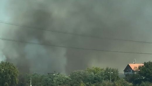 Požar uz put ka deponiji u Vinči, na terenu vatrogasne ekipe 1