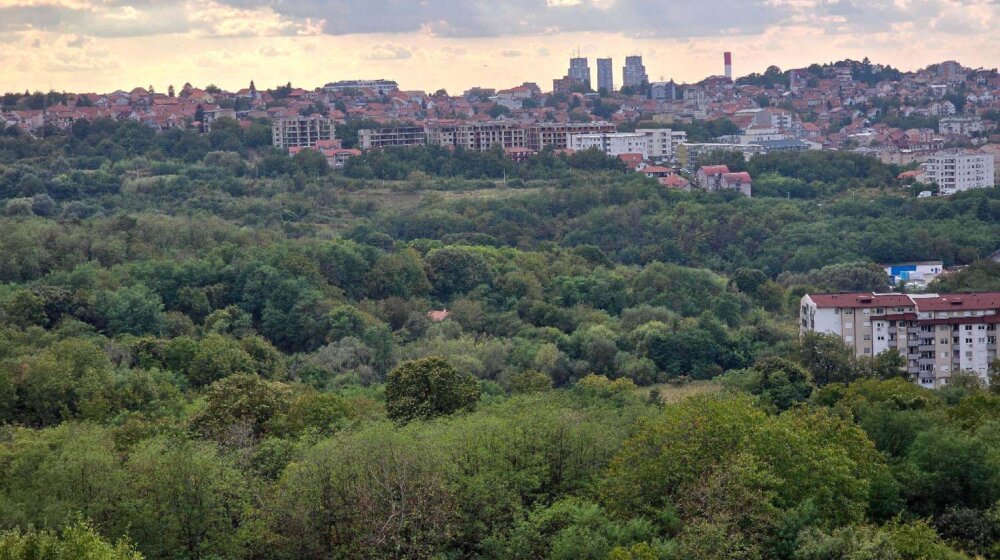 Kreni-Promeni: Bajdinu pretvoriti u park-šumu 1