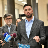 Stefan Simić: Beogradu su neophodni izbori 6