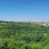 Ponovo pokrenut plan za područje Bajdina, strada 66 hektara šume zbog novog naselja 13