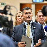 Miloš Pavlović, potpredsednik NPS