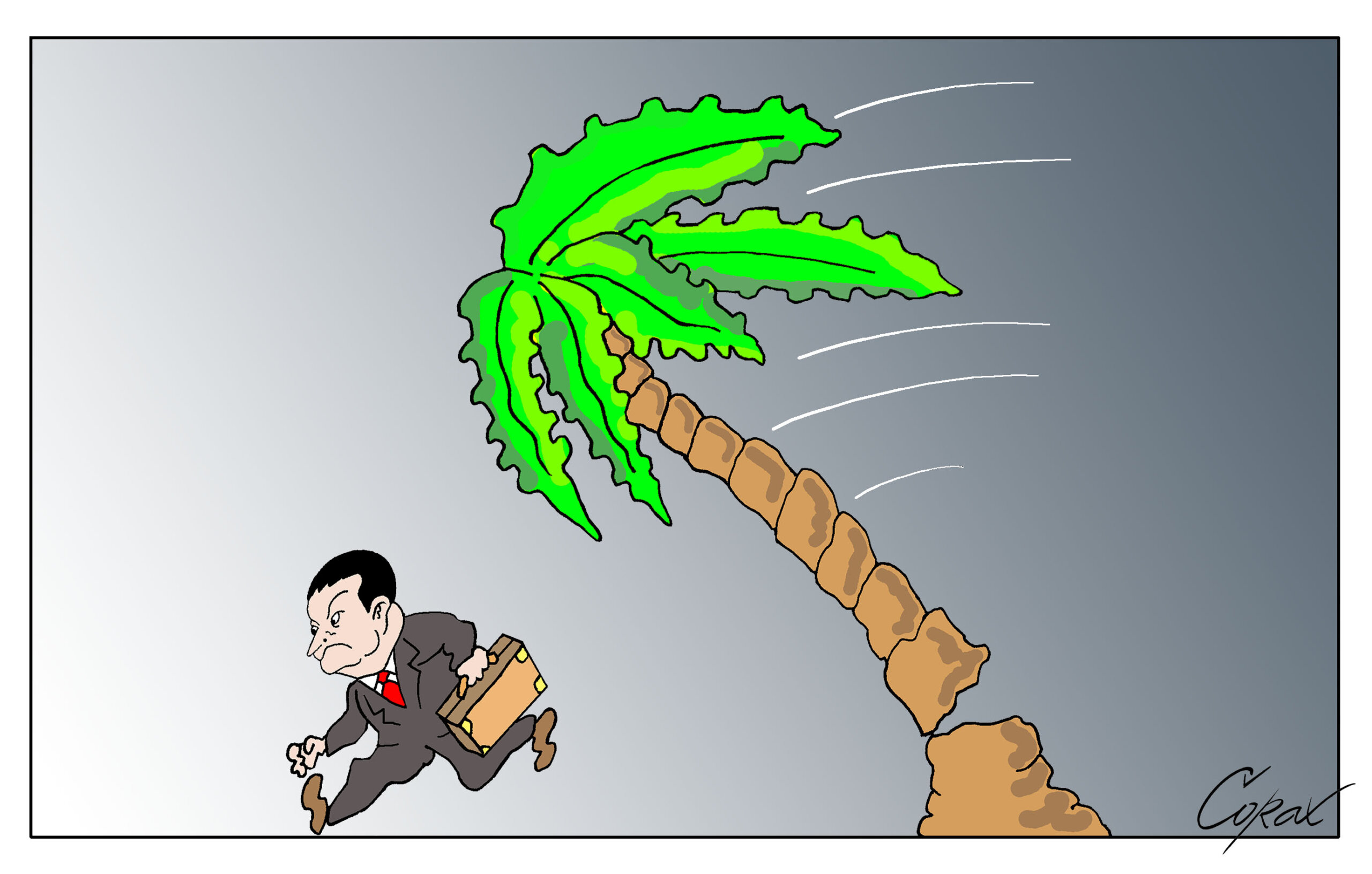Corax 6