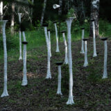 Nauka i umetnost u Botaničkoj bašti "Jevremovac": Deveto izdanje art+science festivala 4