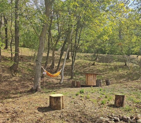 Ivana i Dragan su se sa decom preselili na selo: Vratili su se u dedovinu i otvorili Muzej šume 3 Ivana i Dragan su se sa decom preselili na selo: Vratili su se u dedovinu i otvorili Muzej šume 3