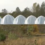 Belgijski klimatolozi uzgajaju kruške budućnosti (VIDEO) 1