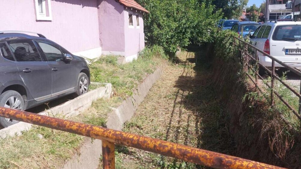 "Ova vlast razume samo pritisak": Nakon pisanja Danasa očišćena jaruga u centru Zaječara 1