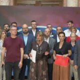 Opozicija traži u Skupštini: Skupili smo 86 potpisa za zakon o zabrani kopanja litijuma (VIDEO) 7