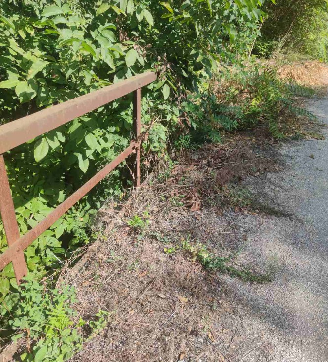 Meštani sela pored Zaječara 20 dana bez vode: Traže da direktor podnese ostavku ili će blokirati prilaz jezeru 4