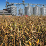 DRI: Direkcija za robne rezerve postupala mimo ugovora u vrednosti 184 miliona dinara 3