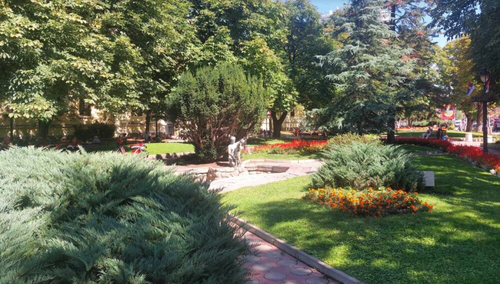 Zaječarci ne veruju statistici "Samo budala može da veruje da je 97.000 dinara": Zaječarci o prosečnoj zaradi u Srbiji 3