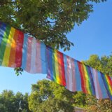 Vulović (Beograd Prajd): Zakon o istopolnim zajednicama zaključan u fioci u Vladi Srbije 7