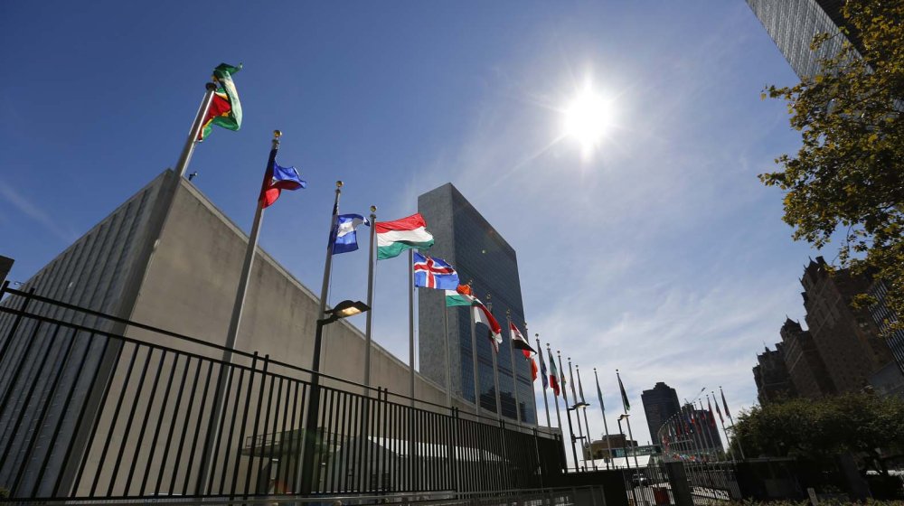 Izvestiteljka UN: Srbija se kreće ka potpunoj samovolji vlasti 1