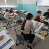 Sistem ne štiti kvalitet obrazovanja, već podobnost 3