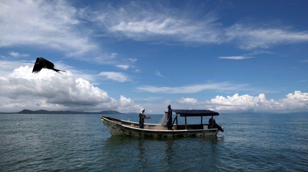 Svetska mora zagrevaju se četiri puta brže nego osamdesetih godina, pokazuje nova studija 1